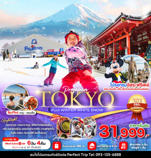 ทัวร์ญี่ปุ่น TOKYO FUJI WINTER WHITE SNOW - บริษัท เพอร์เฟคทริป คลับ จำกัด