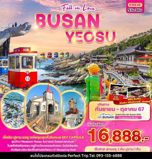 ทัวร์เกาหลี Fall in love BUSAN YEOSU  - บริษัท เพอร์เฟคทริป คลับ จำกัด