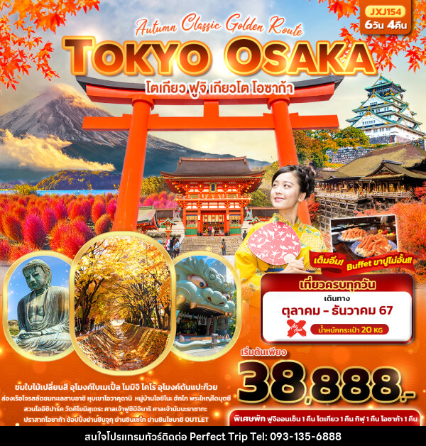 ทัวร์ญี่ปุ่น Autumn Classic Golden Route TOKYO OSAKA โตเกียว ฟูจิ เกียวโต โอซาก้า  - บริษัท เพอร์เฟคทริป คลับ จำกัด