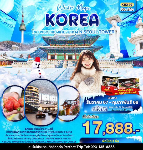 ทัวร์เกาหลี Winter Magic Korea Seoul โซล พระราชวังเคียงบกกุก N SEOUL TOWER - บริษัท เพอร์เฟคทริป คลับ จำกัด