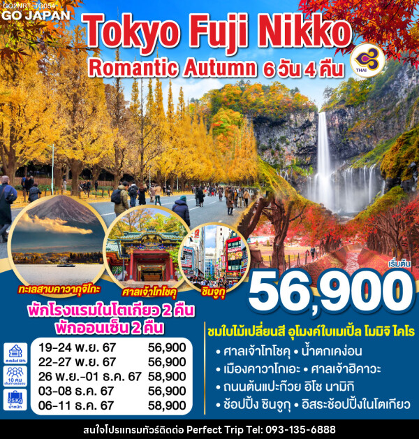 ทัวร์ญี่ปุ่น TOKYO FUJI NIKKO ROMANTIC AUTUMN - บริษัท เพอร์เฟคทริป คลับ จำกัด