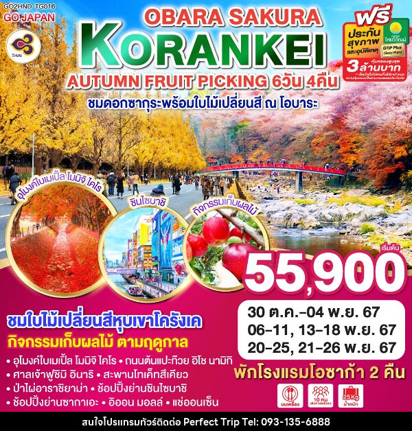 ทัวร์ญี่ปุ่น KORANKEI OBARA SAKURA & AUTUMN FRUIT PICKING - บริษัท เพอร์เฟคทริป คลับ จำกัด