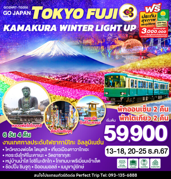 ทัวร์ญี่ปุ่น TOKYO FUJI KAMAKURA WINTER LIGHT UP  - บริษัท เพอร์เฟคทริป คลับ จำกัด