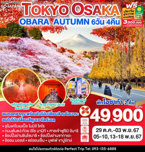 ทัวร์ญี่ปุ่น TOKYO OSAKA OBARA AUTUMN - บริษัท เพอร์เฟคทริป คลับ จำกัด