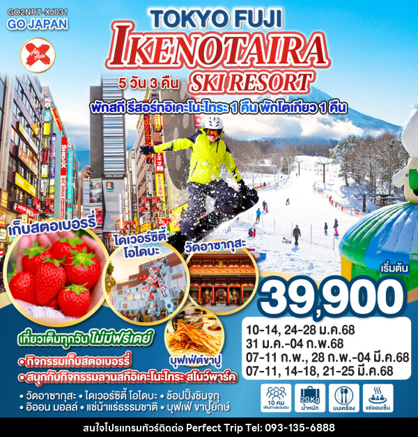 ทัวร์ญี่ปุ่นTOKYO FUJI IKENOTAIRA SKI RESORT - บริษัท เพอร์เฟคทริป คลับ จำกัด