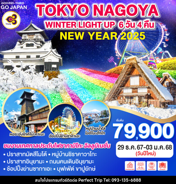 ทัวร์ญี่ปุ่น TOKYO NAGOYA WINTER LIGHT UP NEW YEAR - บริษัท เพอร์เฟคทริป คลับ จำกัด