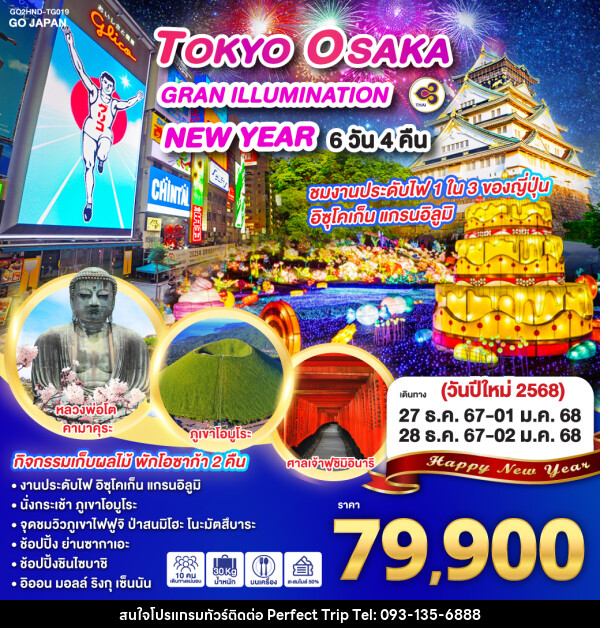 ทัวร์ญี่ปุ่น TOKYO OSAKA GRAN ILLUMINATION NEW YEAR - บริษัท เพอร์เฟคทริป คลับ จำกัด