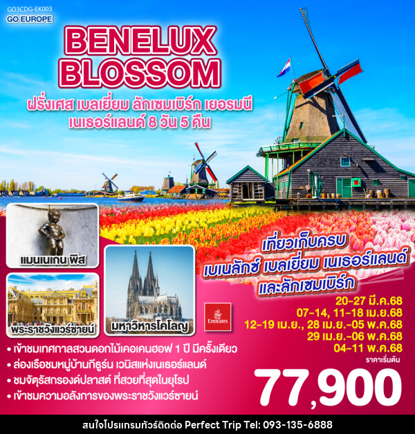 ทัวร์ยุโรป BENELUX BLOSSOM ฝรั่งเศส เบลเยี่ยม ลักเซมเบิร์ก  เยอรมนี เนเธอร์แลนด์ - บริษัท เพอร์เฟคทริป คลับ จำกัด