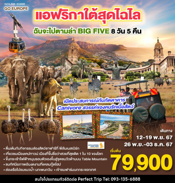 ทัวร์แอฟริกาใต้ สุดไฉไล ฉันจะไปตามล่า BIG FIVE  - บริษัท เพอร์เฟคทริป คลับ จำกัด