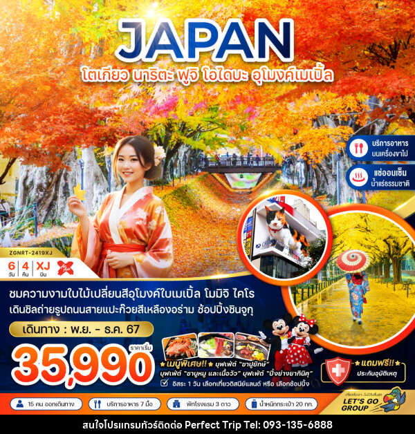 ทัวร์ญี่ปุ่น JAPAN โตเกียว นาริตะ ฟูจิ โอไดบะ อุโมงค์เมเปิ้ล - บริษัท เพอร์เฟคทริป คลับ จำกัด