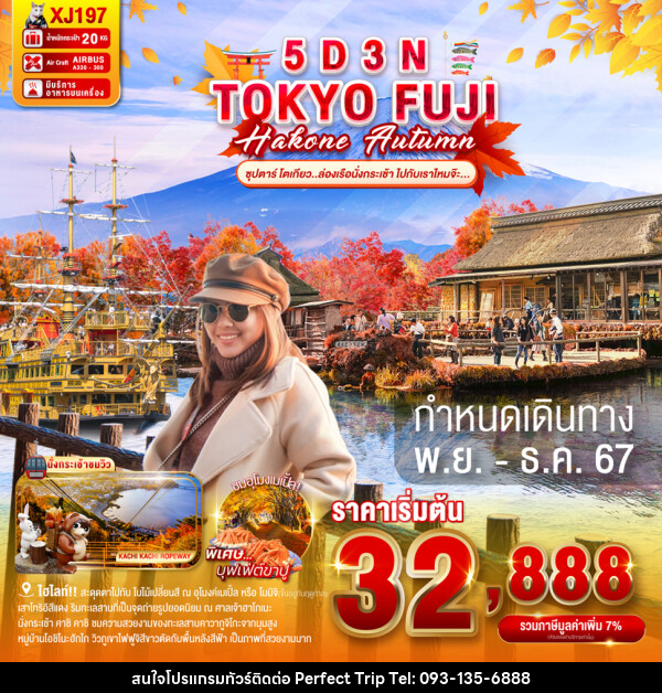 TOKYO FUJI HAKONE AUTUMN  - บริษัท เพอร์เฟคทริป คลับ จำกัด