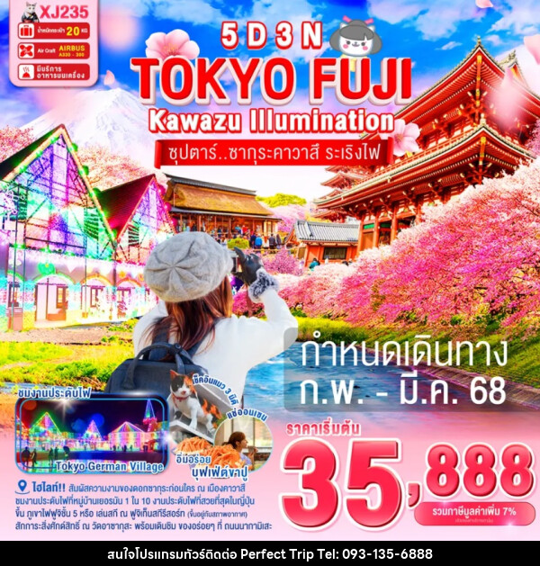 ทัวร์ญี่ปุ่น TOKYO FUJI KAWAZU ILLUMINATION  ซุปตาร์..ซากุระคาวาสึ ระเริงไฟ - บริษัท เพอร์เฟคทริป คลับ จำกัด