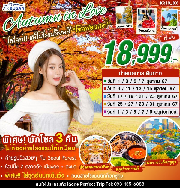 ทัวร์เกาหลี Autumn in love - บริษัท เพอร์เฟคทริป คลับ จำกัด