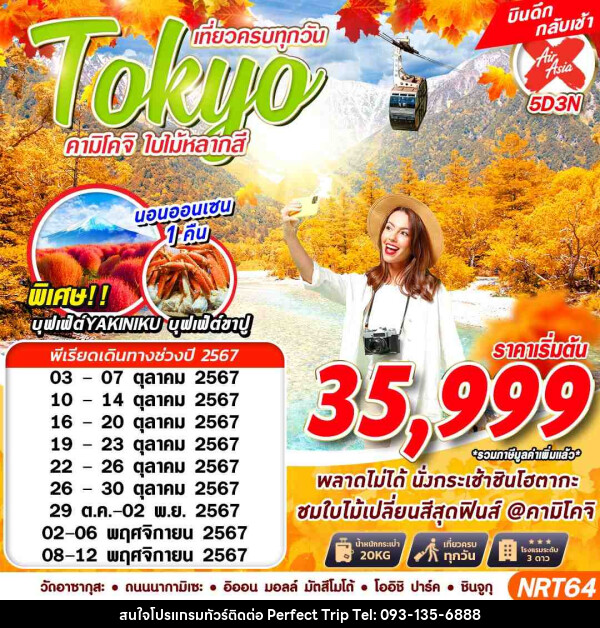 ทัวร์ญี่ปุ่น TOKYO คามิโคจิ ใบไม้หลากสี - บริษัท เพอร์เฟคทริป คลับ จำกัด