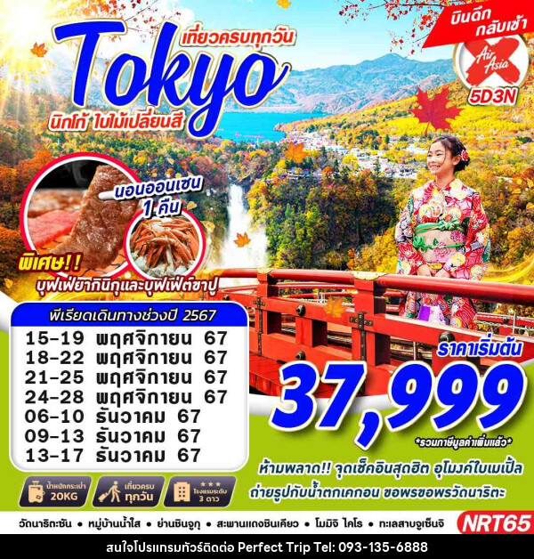 ทัวร์ญี่ปุ่น TOKYO นิกโก้ ใบไม้เปลี่ยนสี  - บริษัท เพอร์เฟคทริป คลับ จำกัด