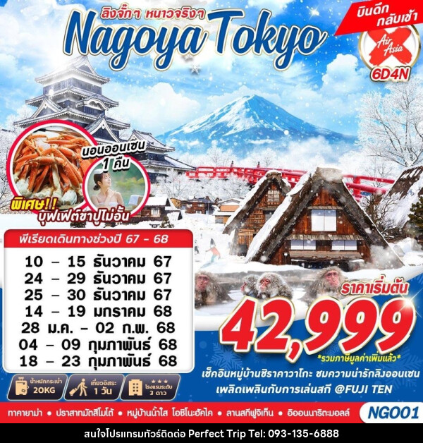 ทัวร์ญี่ปุ่น NAGOYA TOKYO WINTER ลิงจั๊กๆหนาวจริงๆ - บริษัท เพอร์เฟคทริป คลับ จำกัด