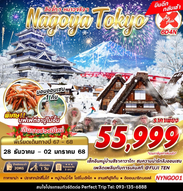 ทัวร์ญี่ปุ่น ลิงจั๊กๆ หนาวจริงๆ Nagoya Tokyo - บริษัท เพอร์เฟคทริป คลับ จำกัด