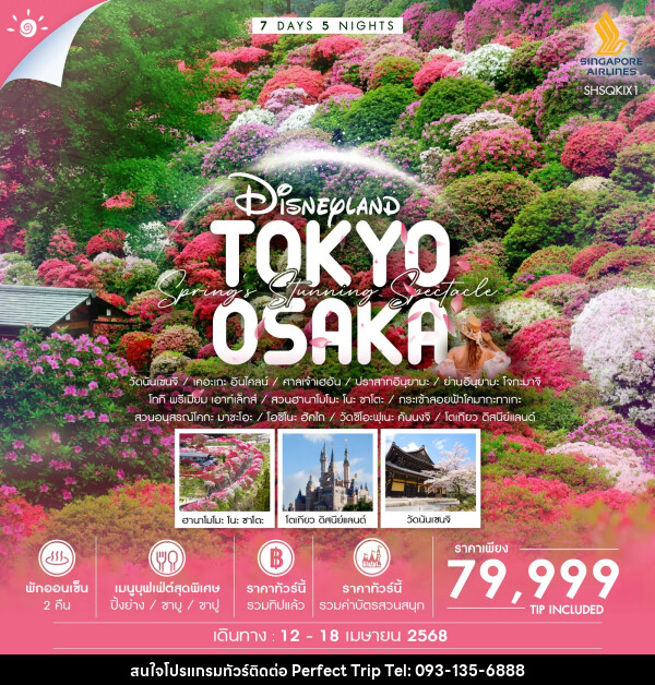 ทัวร์ญี่ปุ่น Disneyland TOKYO OSAKA - บริษัท เพอร์เฟคทริป คลับ จำกัด