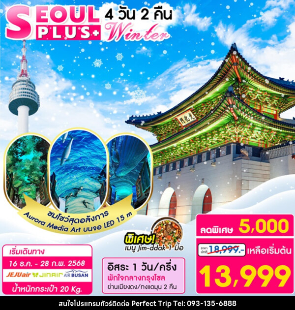 ทัวร์เกาหลี SEOUL PLUS+ Winter - บริษัท เพอร์เฟคทริป คลับ จำกัด