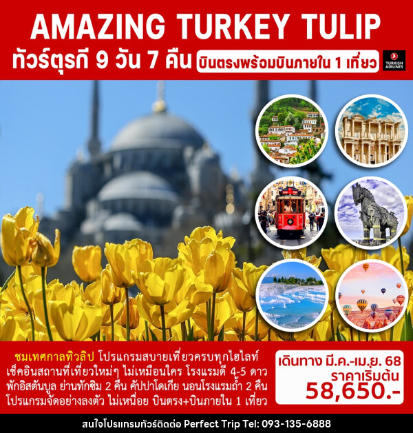 ทัวร์ตุรกี AMAZING TURKEY TULIP - บริษัท เพอร์เฟคทริป คลับ จำกัด