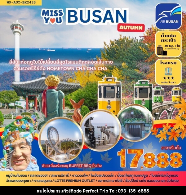 ทัวร์เกาหลี  Miss You BUSAN AUTUMN - บริษัท เพอร์เฟคทริป คลับ จำกัด