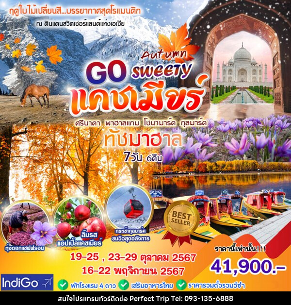 ทัวร์แคชเมียร์ GO SWEETY AUTUMN  - บริษัท เพอร์เฟคทริป คลับ จำกัด