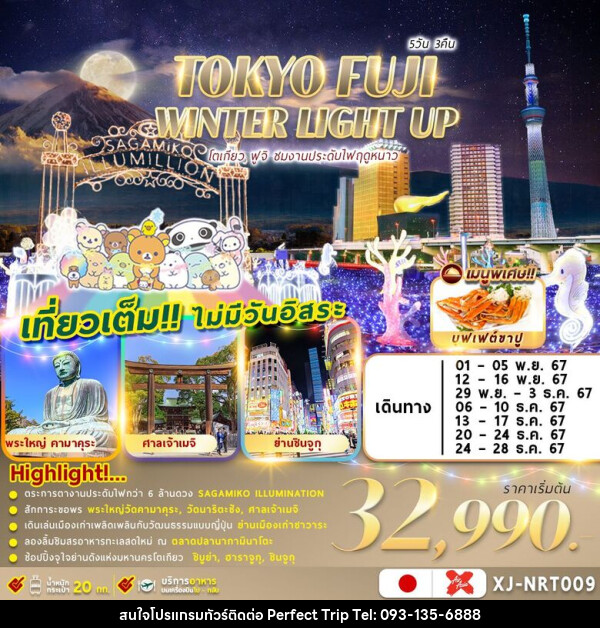 ทัวร์ญี่ปุ่น TOKYO FUJI WINTER 5D3N ชมงานประดับไฟฤดูหนาว - บริษัท เพอร์เฟคทริป คลับ จำกัด