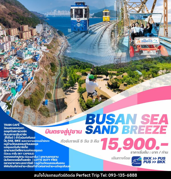 ทัวร์เกาหลี BUSAN SEA SAND BREEZE - บริษัท เพอร์เฟคทริป คลับ จำกัด