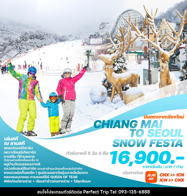 ทัวร์เกาหลีบินตรงเชียงใหม่  โซล CHIANG MAI TO SEOUL SNOW FESTA - บริษัท เพอร์เฟคทริป คลับ จำกัด