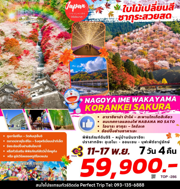 ทัวร์ญี่ปุ่น ใบไม้เปลี่ยนสี ซากุระสวยสด NAGOYA IME WAKAYAMA KORANKEI SAKURA - บริษัท เพอร์เฟคทริป คลับ จำกัด