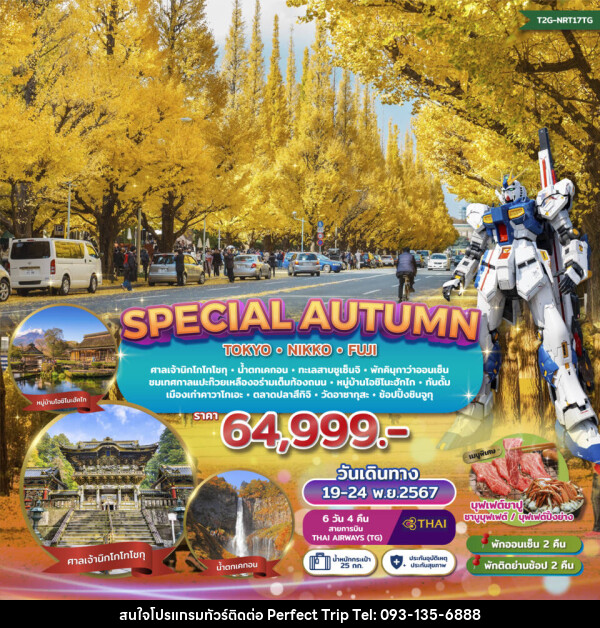 ทัวร์ญี่ปุ่น SPECIAL AUTUMN…TOKYO NIKKO FUJI GINKO FESTIVAL - บริษัท เพอร์เฟคทริป คลับ จำกัด