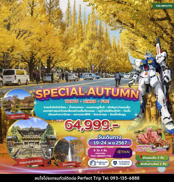 ทัวร์ญี่ปุ่น SPECIAL AUTUMN…TOKYO NIKKO FUJI GINKO FESTIVAL  - บริษัท เพอร์เฟคทริป คลับ จำกัด