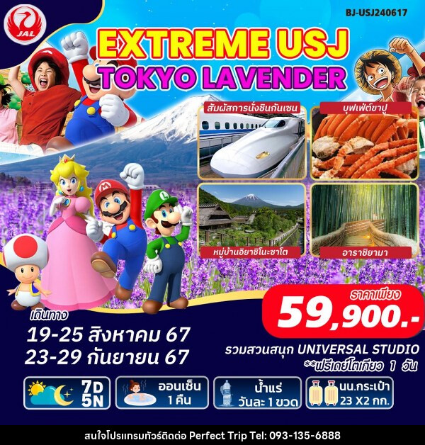 ทัวร์ญี่ปุ่น EXTREME USJ TOKYO LAVENDER - บริษัท เพอร์เฟคทริป คลับ จำกัด