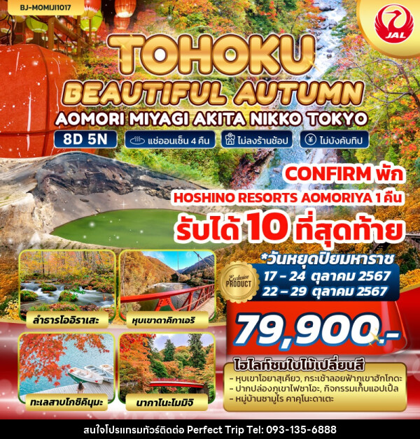 ทัวร์ญี่ปุ่น TOHOKU BEAUTIFUL AUTUMN - บริษัท เพอร์เฟคทริป คลับ จำกัด