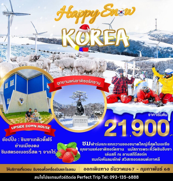 ทัวร์เกาหลี HAPPY SNOW KOREA - บริษัท เพอร์เฟคทริป คลับ จำกัด