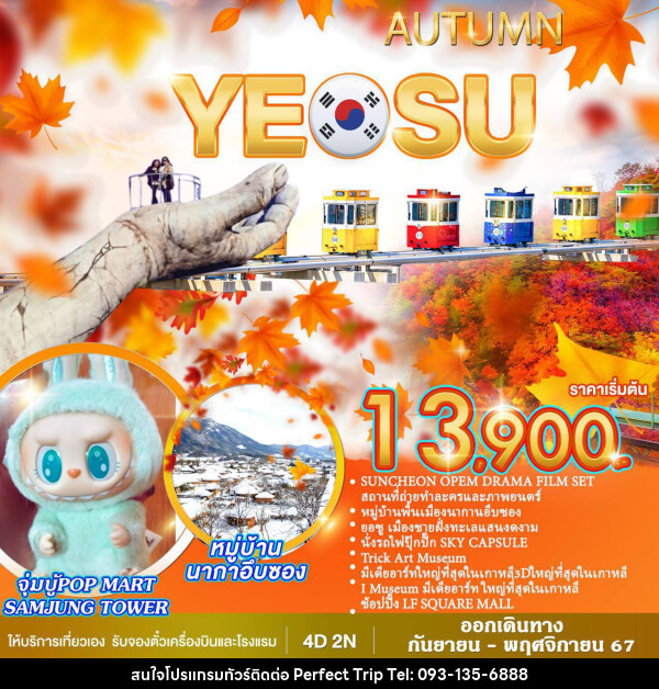 ทัวร์เกาหลี AUTUMN YEOSU - บริษัท เพอร์เฟคทริป คลับ จำกัด