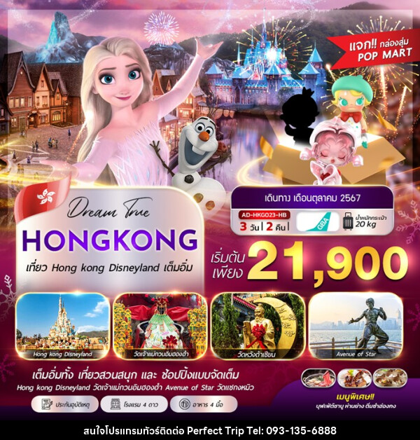 ทัวร์ฮ่องกง HONGKONG DISNEYLAND - บริษัท เพอร์เฟคทริป คลับ จำกัด