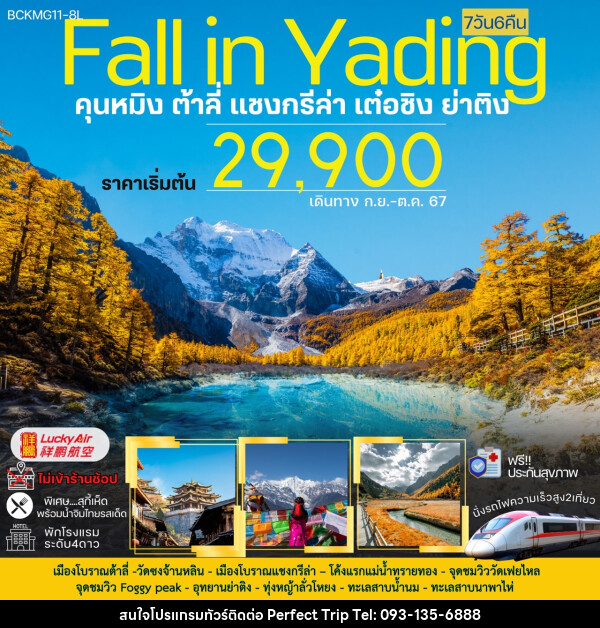 ทัวร์จีน Fall in Yading คุนหมิง ต้าลี่ แชงกรีล่า เต๋อซิง ย่าติง - บริษัท เพอร์เฟคทริป คลับ จำกัด