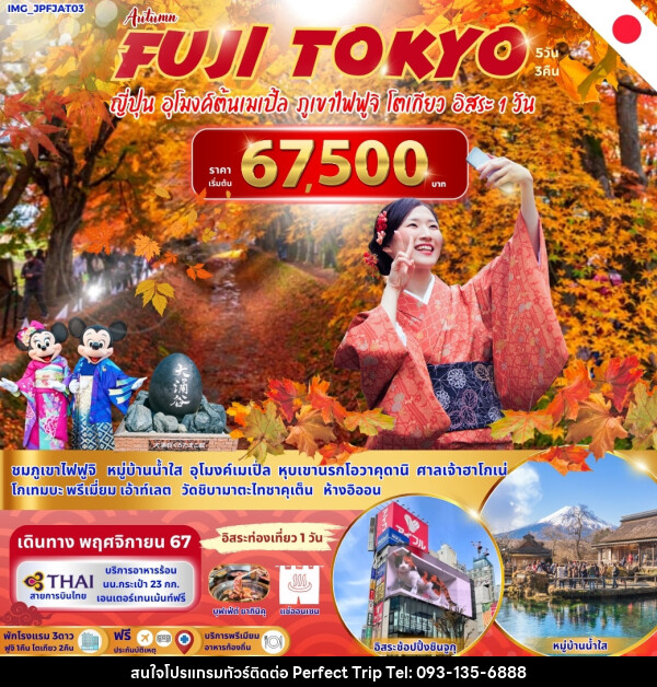 ทัวร์ญี่ปุ่น FUJI TOKYO ญี่ปุ่น อุโมงค์ต้นเมเปิ้ล ภูเขาไฟฟูจิ โตเกียว อิสระ 1 วัน - บริษัท เพอร์เฟคทริป คลับ จำกัด