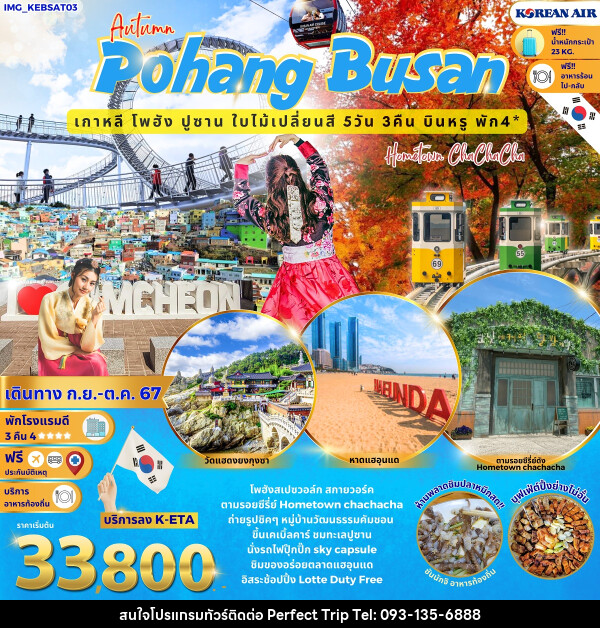 ทัวร์เกาหลี Autumn Pohang Busan เกาหลี โพฮัง ปูซาน ใบไม้เปลี่ยนสี - บริษัท เพอร์เฟคทริป คลับ จำกัด