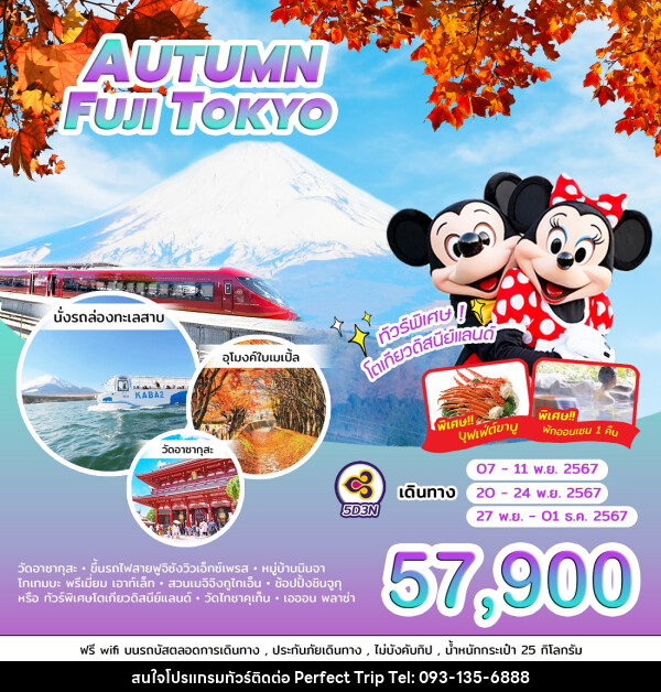 ทัวร์ญี่ปุ่น AUTUMN FUJI TOKYO - บริษัท เพอร์เฟคทริป คลับ จำกัด