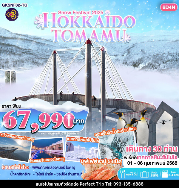 ทัวร์ญี่ปุ่น Snow Festival 2025 HOKKAIDO TOMAMU - บริษัท เพอร์เฟคทริป คลับ จำกัด