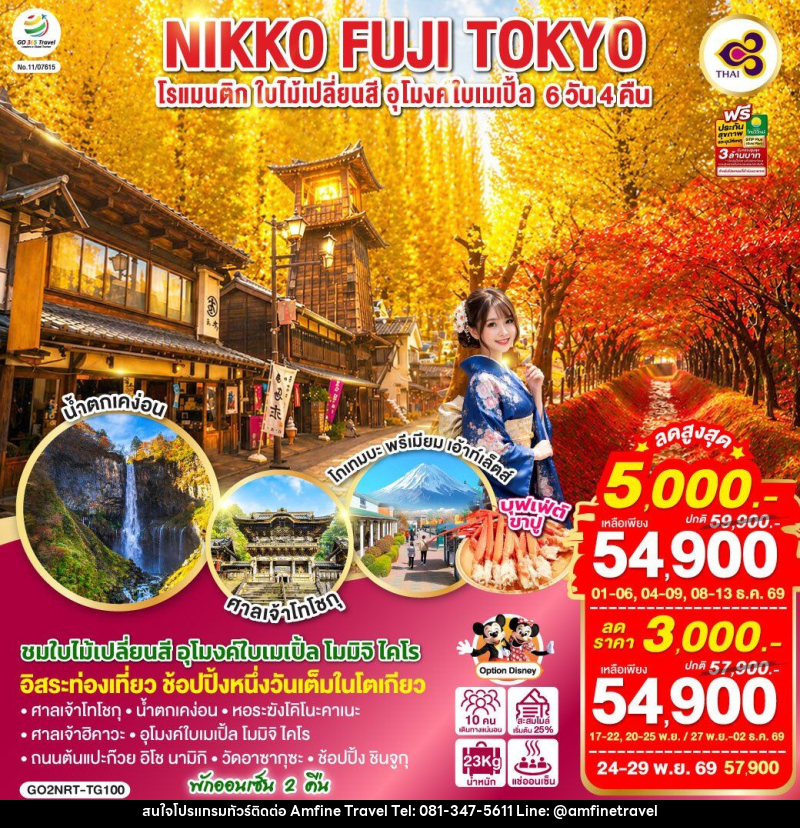 ทัวร์ญี่ปุ่น TOKYO FUJI NIKKO MOMIJI AUTUMN - บริษัท แอมฟายน์ ทราเวล