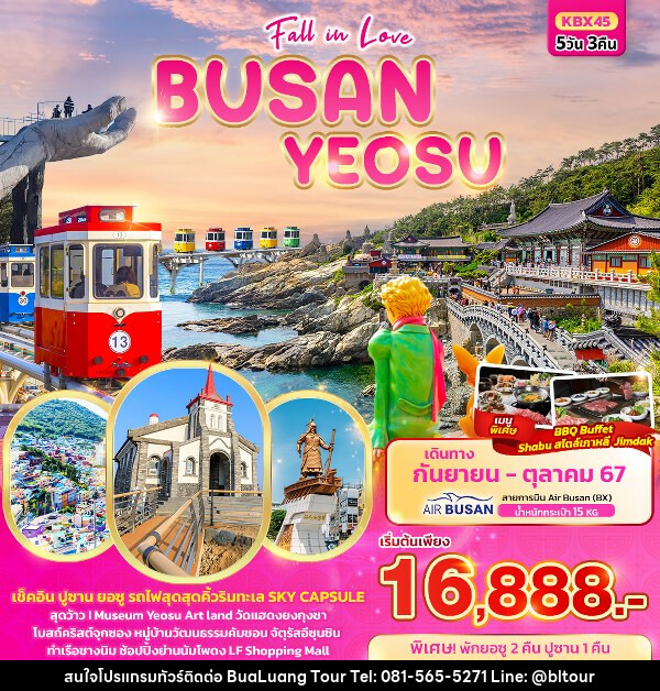 ทัวร์เกาหลี Fall in love BUSAN YEOSU  - บริษัท บัวหลวง ทัวร์ แอนด์ เทรดดิ้ง จำกัด