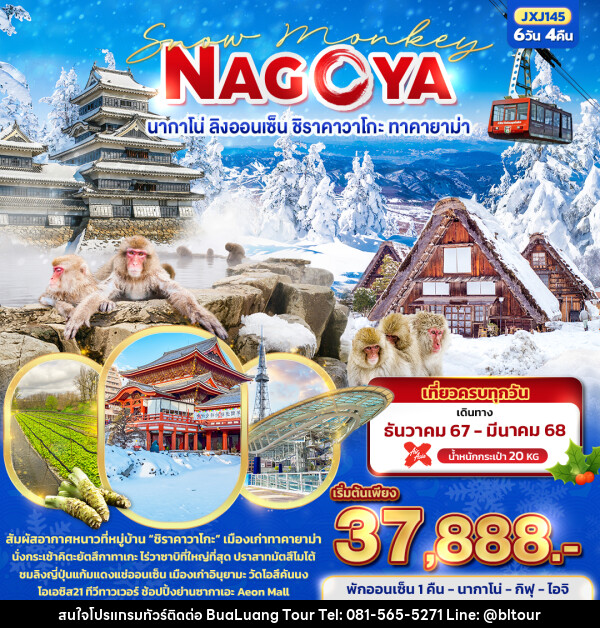 ทัวร์ญี่ปุ่น Snow Monkey NAGOYA นากาโน่ ลิงออนเซ็น ชิราคาวาโกะ ทาคายาม่า - บริษัท บัวหลวง ทัวร์ แอนด์ เทรดดิ้ง จำกัด