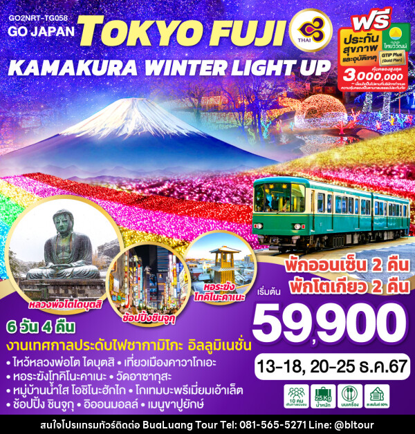 ทัวร์ญี่ปุ่น TOKYO FUJI KAMAKURA WINTER LIGHT UP  - บริษัท บัวหลวง ทัวร์ แอนด์ เทรดดิ้ง จำกัด