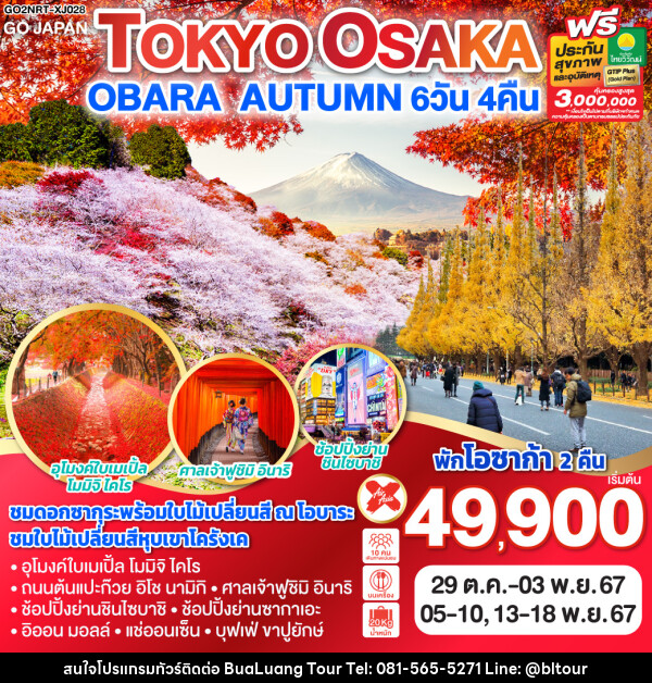 ทัวร์ญี่ปุ่น TOKYO OSAKA OBARA AUTUMN - บริษัท บัวหลวง ทัวร์ แอนด์ เทรดดิ้ง จำกัด