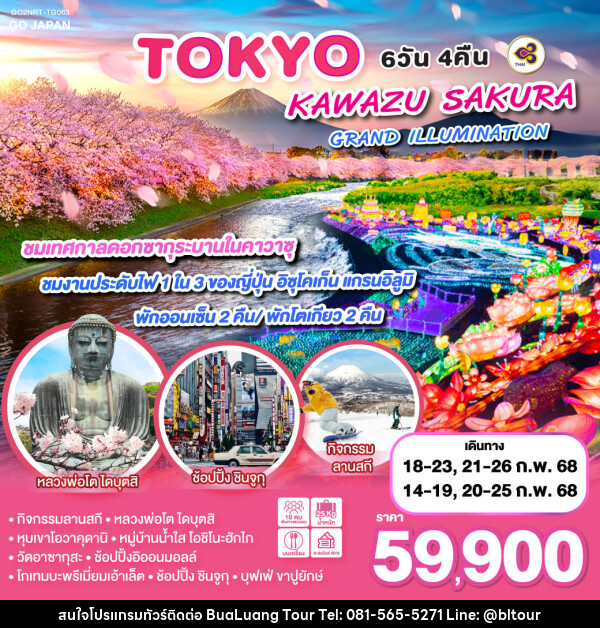 ทัวร์ญี่ปุ่น TOKYO KAWAZU SAKURA GRANDILLUMINATION - บริษัท บัวหลวง ทัวร์ แอนด์ เทรดดิ้ง จำกัด