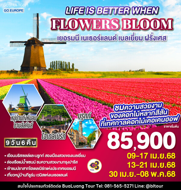 ทัวร์ยุโรป LIFE IS BETTER WHEN FLOWERS BLOOM เยอรมนี เนเธอร์แลนด์ เบลเยี่ยม ฝรั่งเศส - บริษัท บัวหลวง ทัวร์ แอนด์ เทรดดิ้ง จำกัด