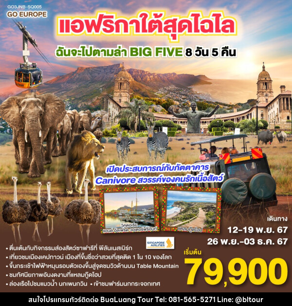 ทัวร์แอฟริกาใต้ สุดไฉไล ฉันจะไปตามล่า BIG FIVE  - บริษัท บัวหลวง ทัวร์ แอนด์ เทรดดิ้ง จำกัด